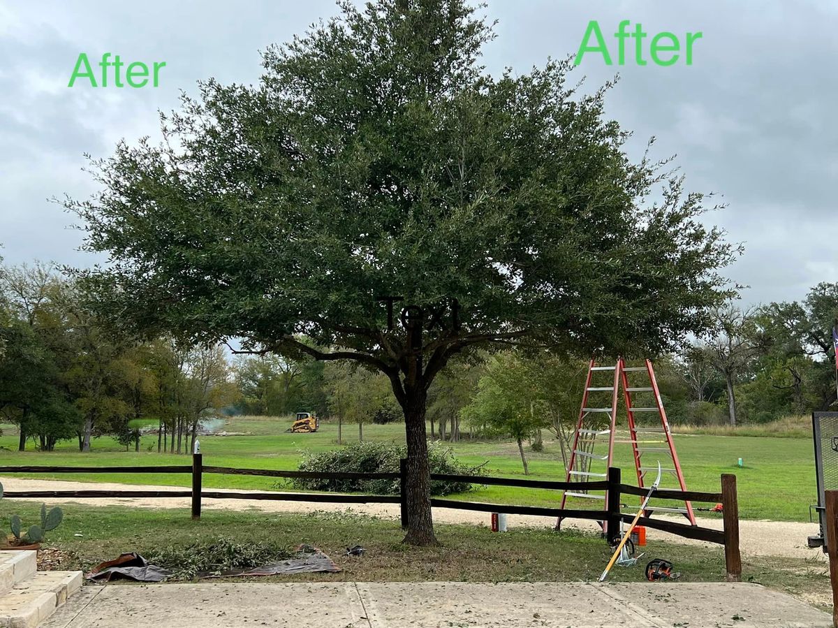 Shrub Trimming for Green Turf Landscaping in Kyle, TX