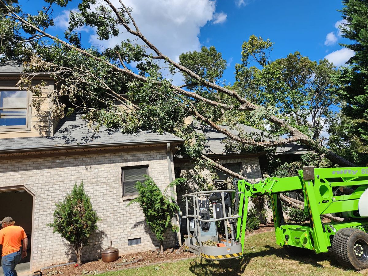 Other Service for Stumpbusters Tree Service in Louisa County, VA