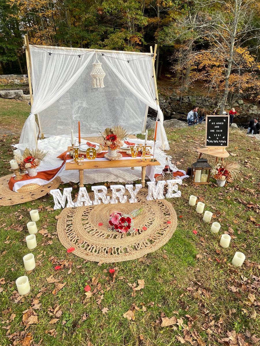 PROPOSAL PICNIC for Pink Tree Picnic in Hartford, CT