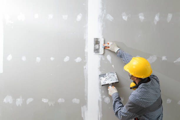Drywall Repair for Mint Painting in Wilmington, NC