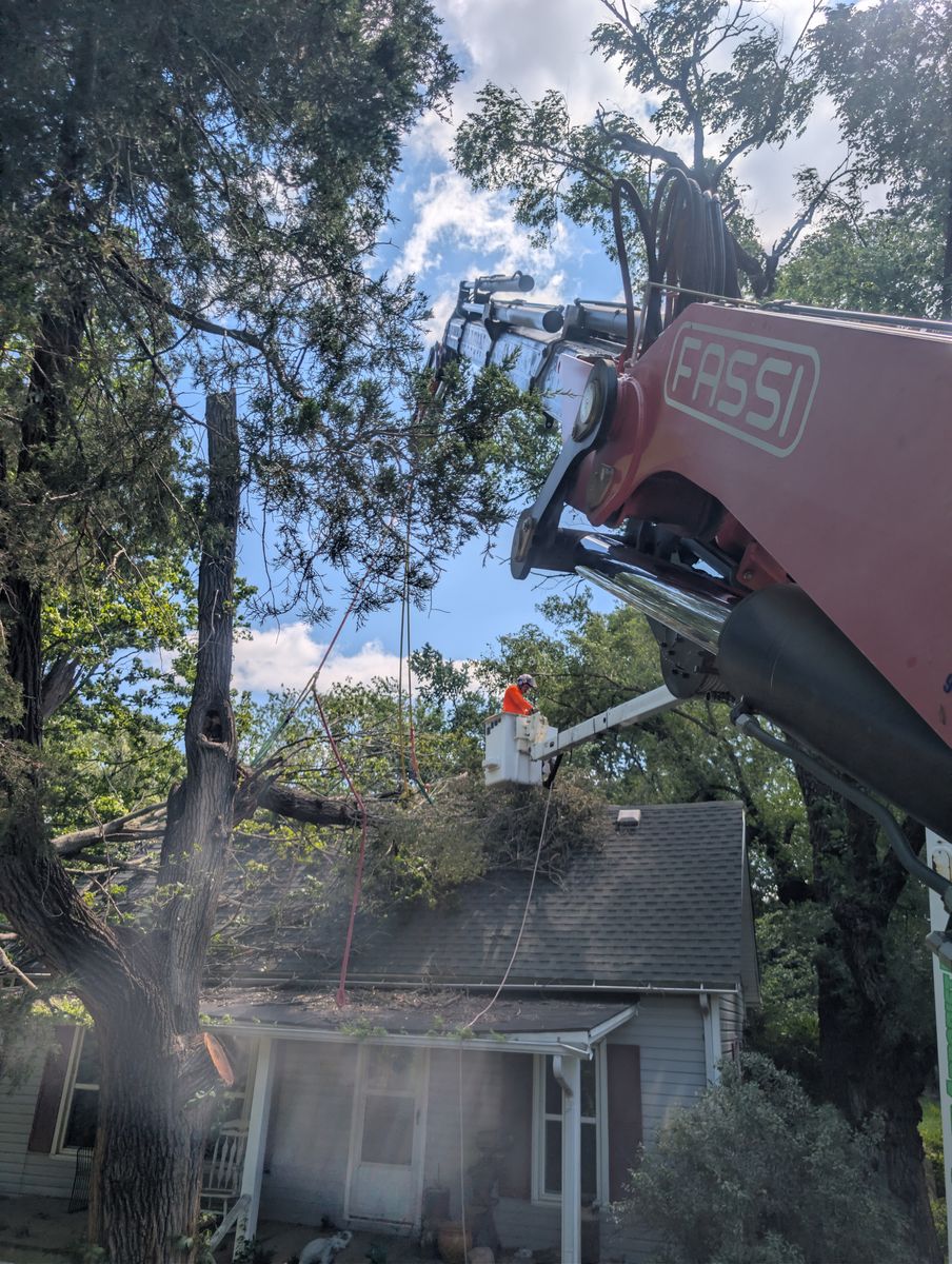 Tree Removal for Mitchell Tree Company in Lathrop, MO