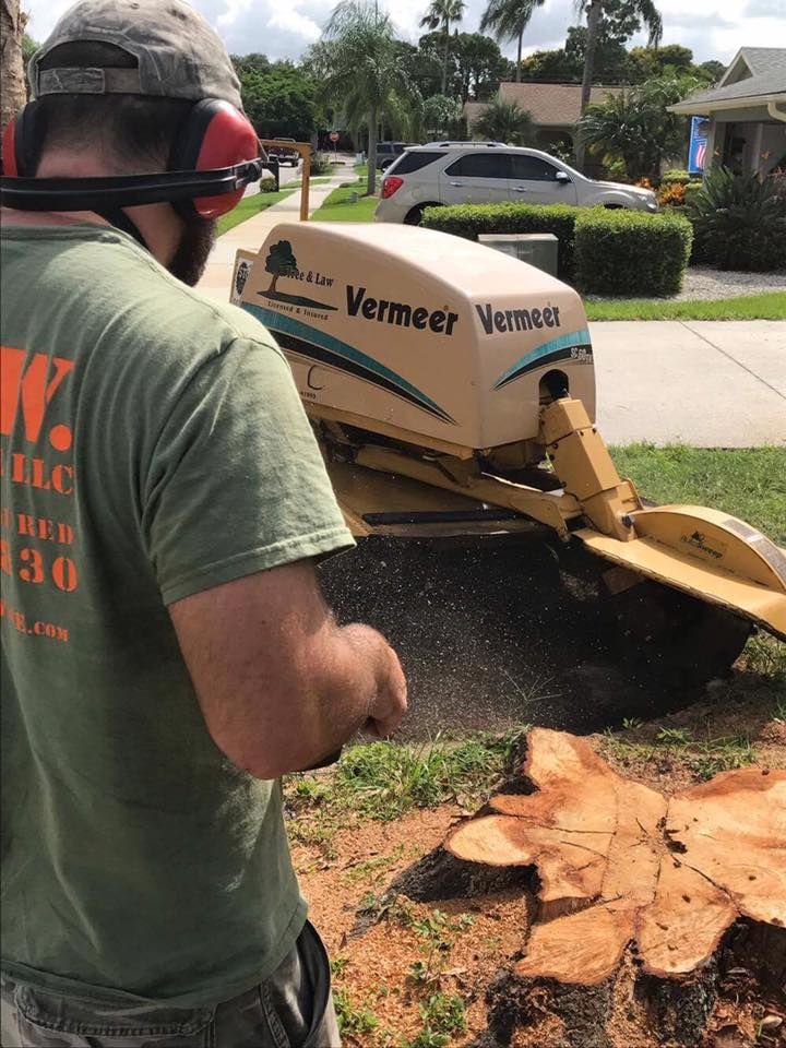 Stump Removal for Adam's Tree and Stump Care in Bradenton, Florida