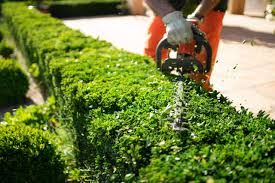 Landscape Maintenance for Thomas' Lawn Care in Maryville, MO