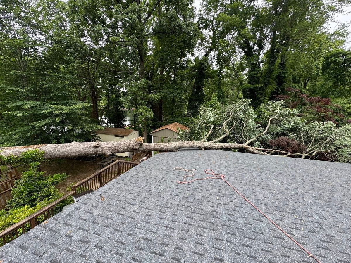 Tree Removal for Meade tree service in Greensboro, NC