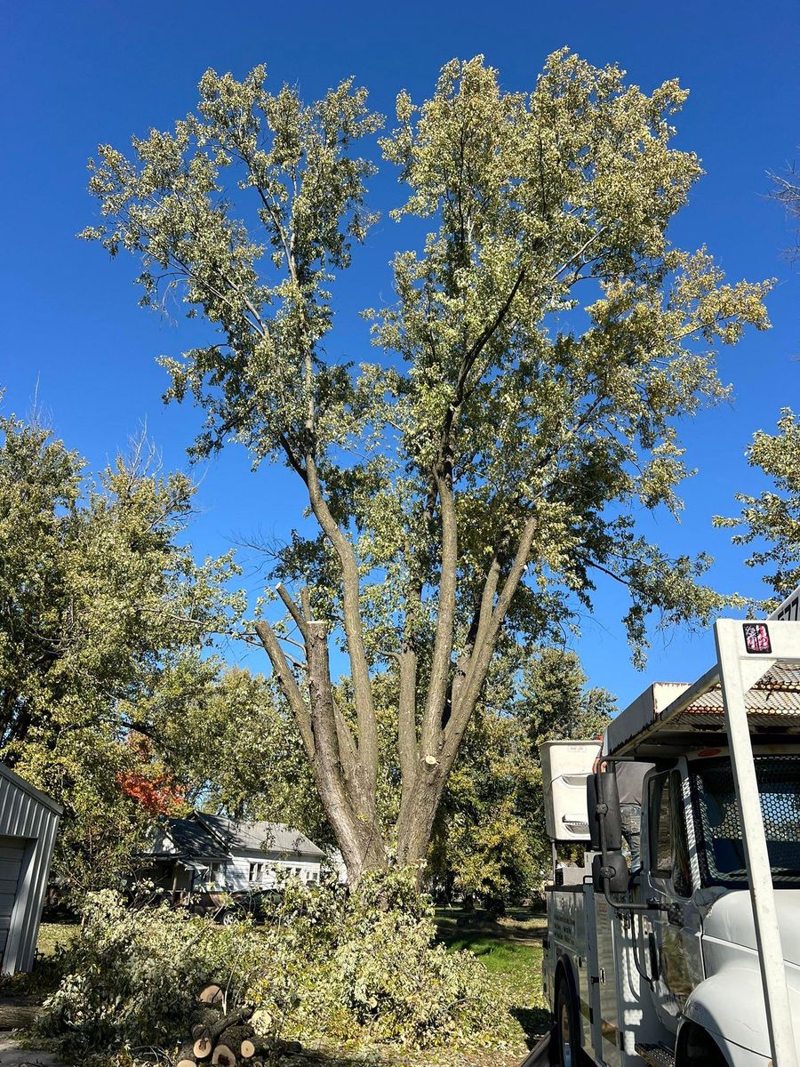 Property Clean Up for Baker Professional Services LLC in Shelbina, MO