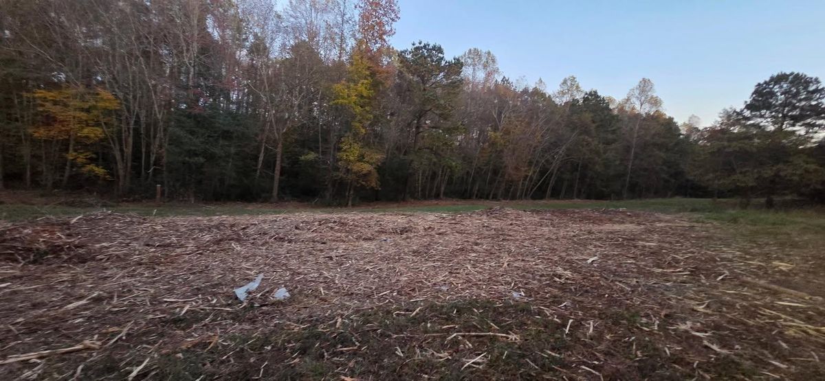 Forestry Mulching for Southern Stronghold Earthworks in Benson, NC