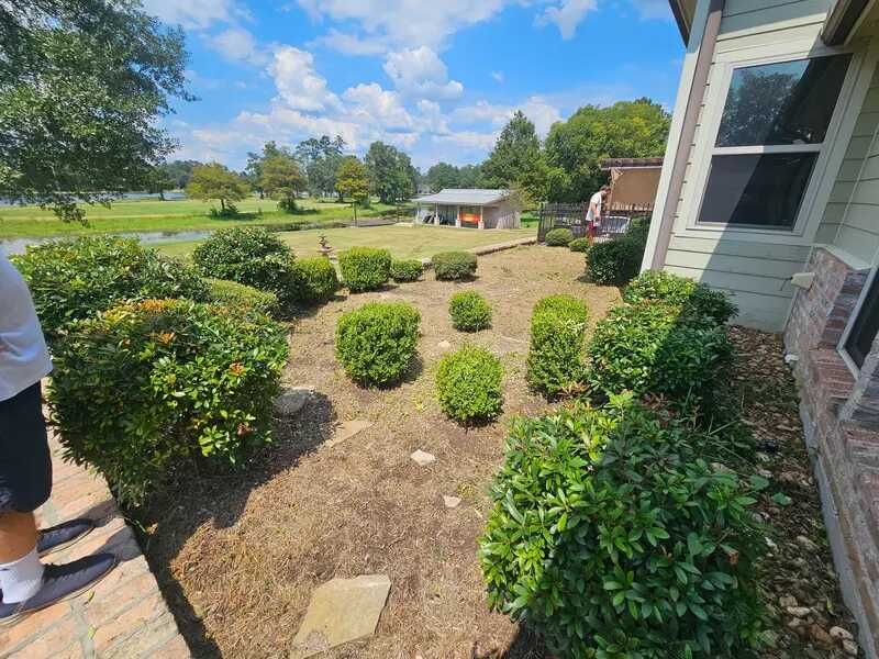 Shrub Trimming for Bruno's Professional Lawn's & Landscape in Beaumont, TX