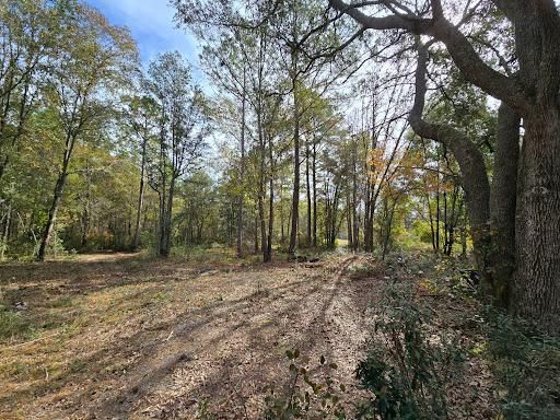 Land Clearing for Giles Land Management, LLC in Hahira, GA