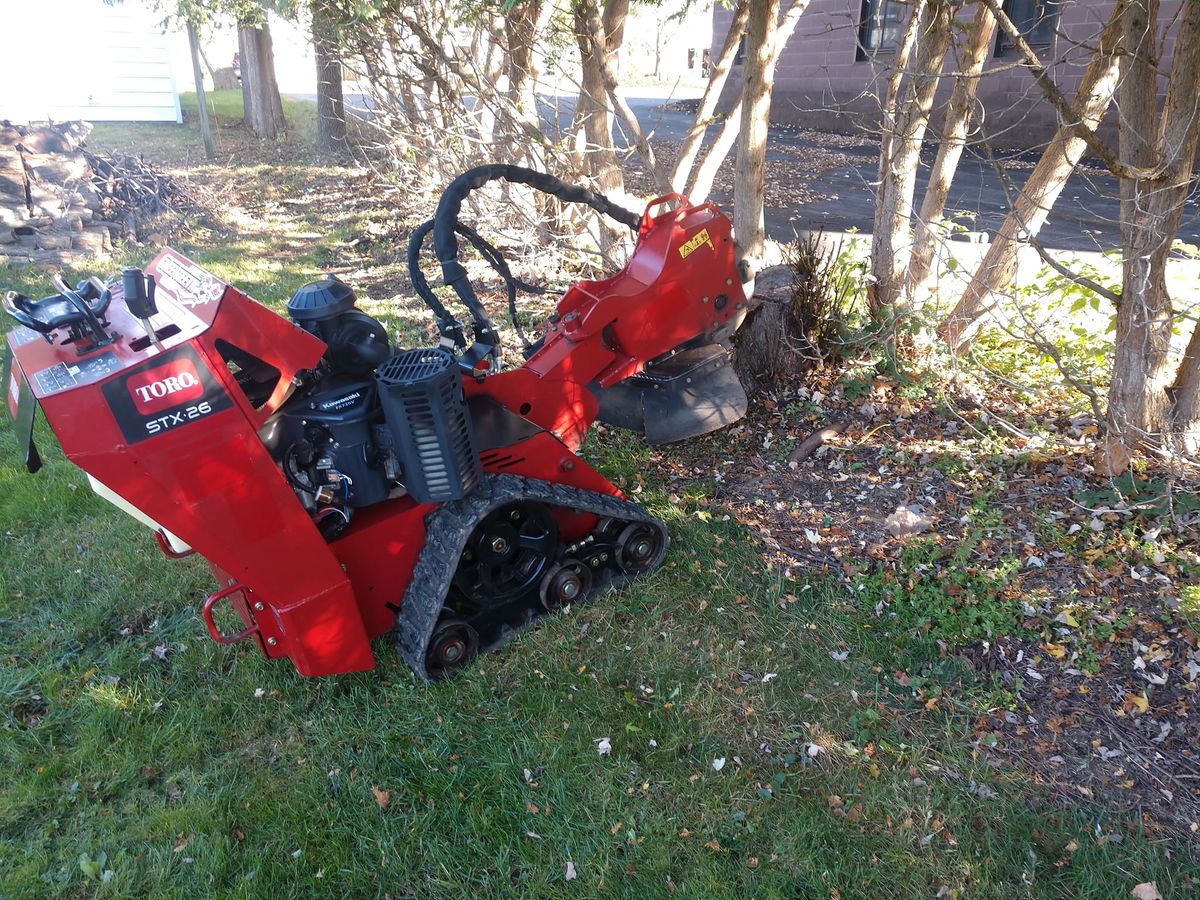 Stump Grinding for TH Property Service, LLC in Manlius, NY