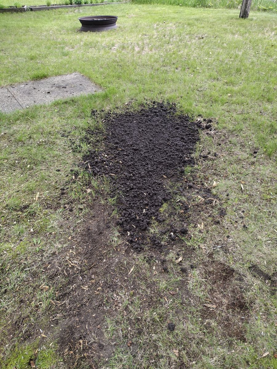 Stump Removal for Dan's tree service in Bemidji, MN