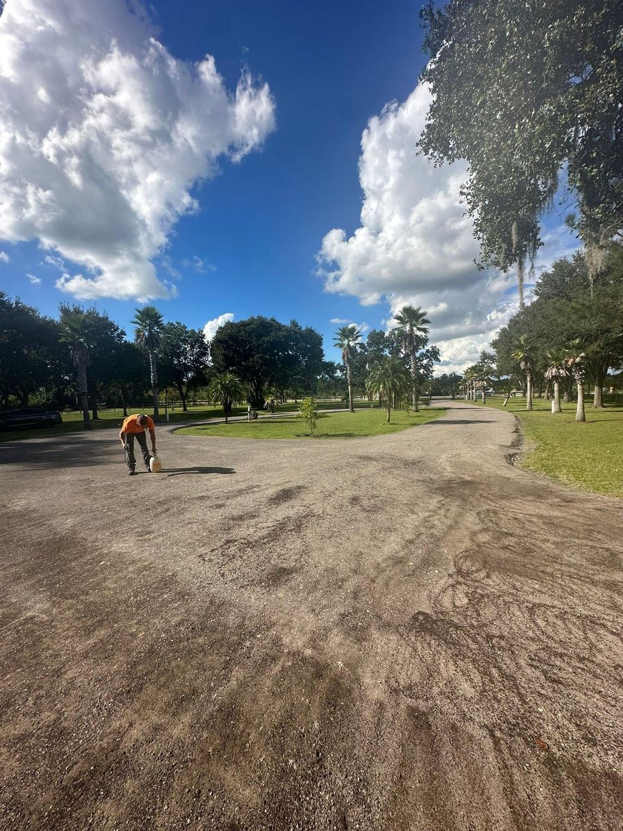 Tree Trimming & Removal for Windspirit Land Services in Hillsborough County, FL
