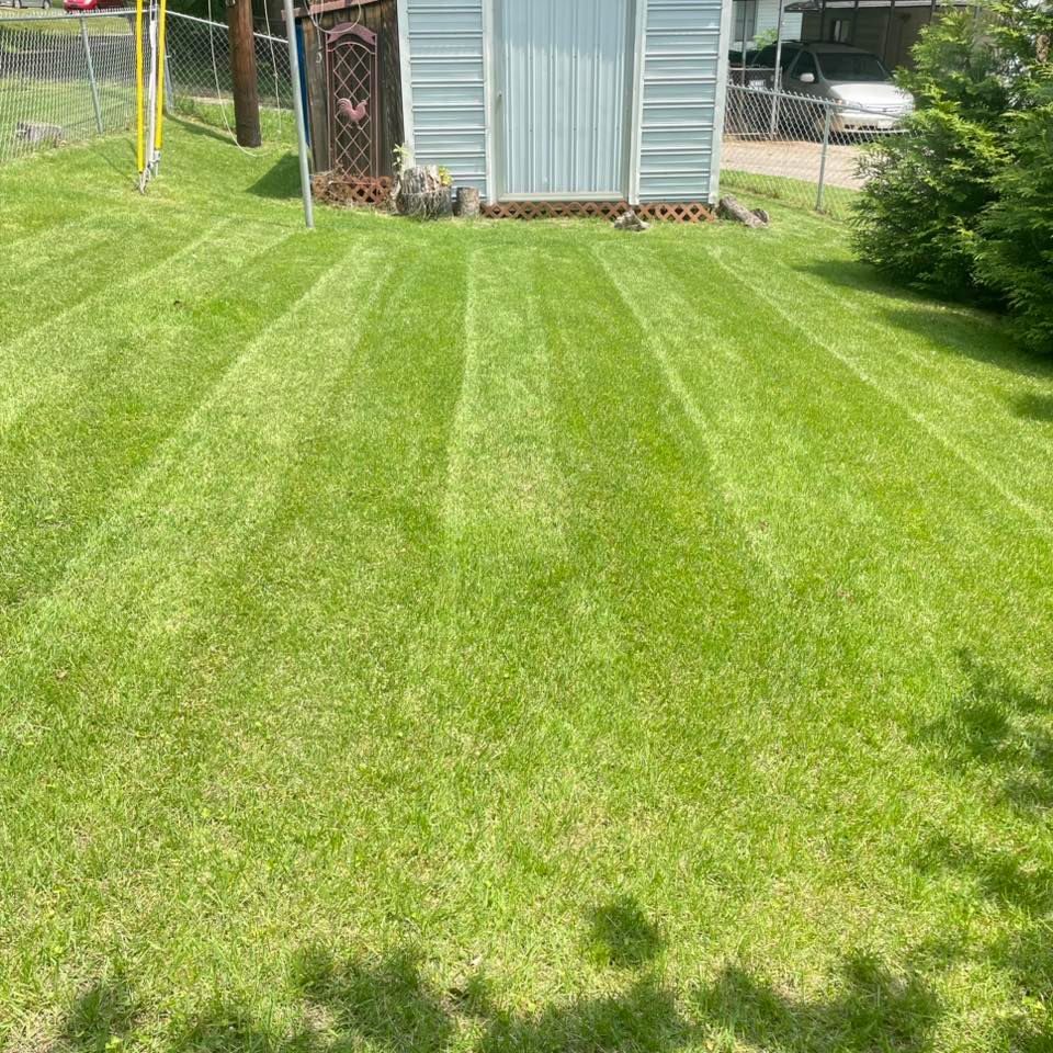 Other Services for Countryside lawn pros in Upstate, SC