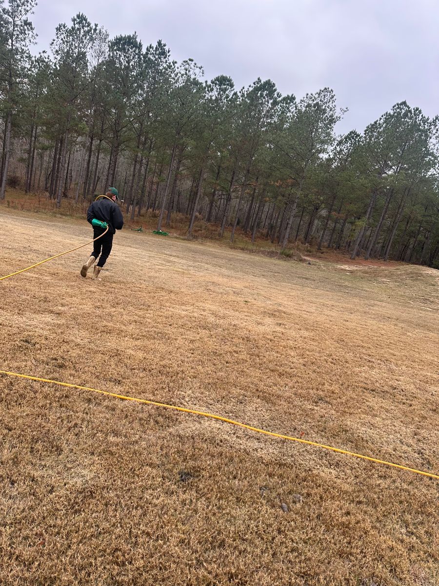 Lawn Care for Kathleen's Lawn & Shrub Care in Augusta, GA