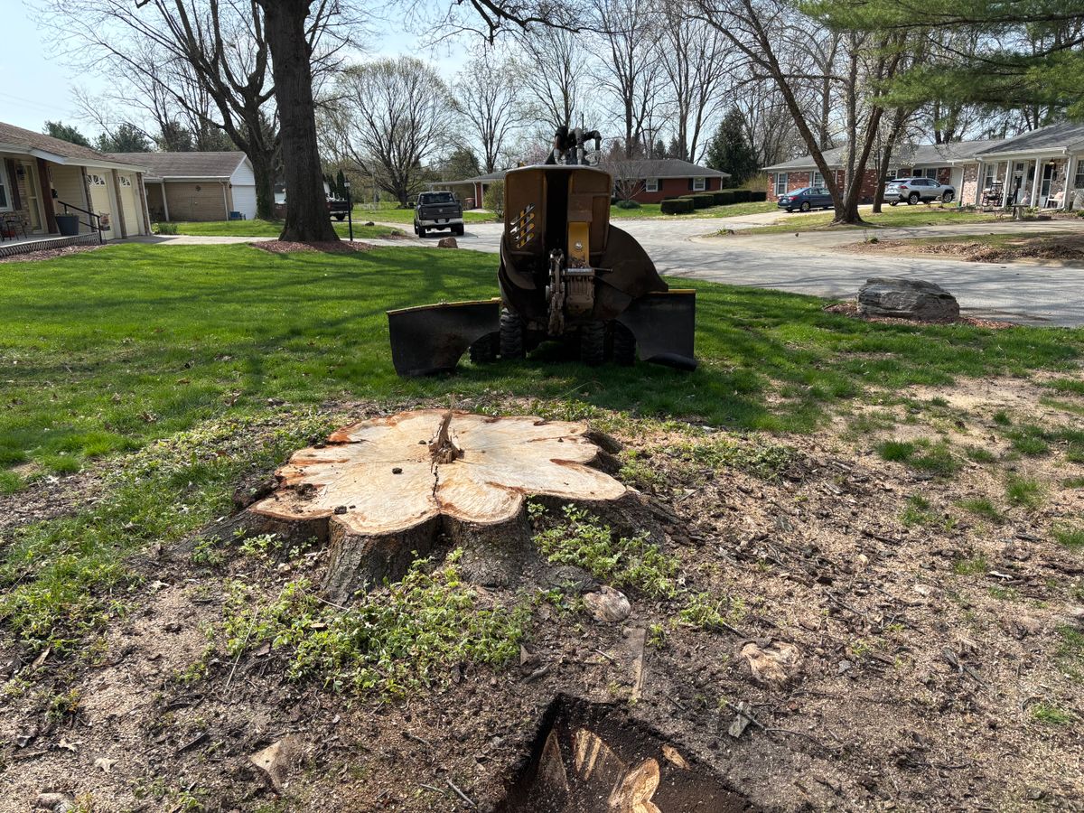 Stump Removal for Conrad's Stump Removal in Columbus, IN