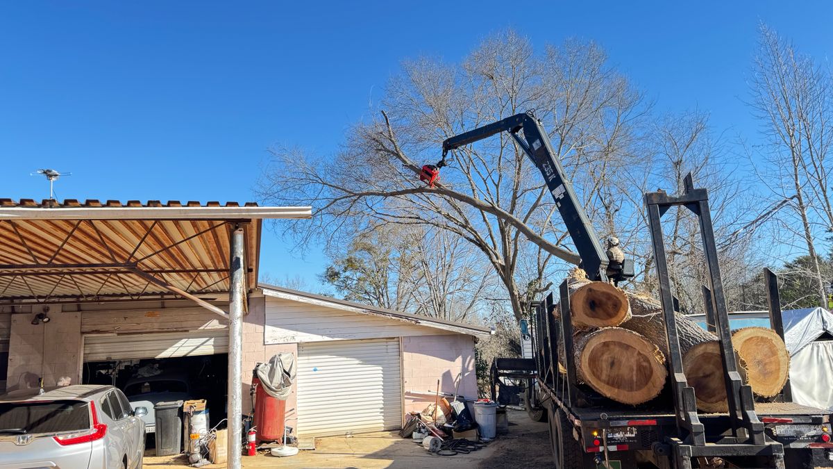 Tree Removal for Owens Tree Services in Inman, SC