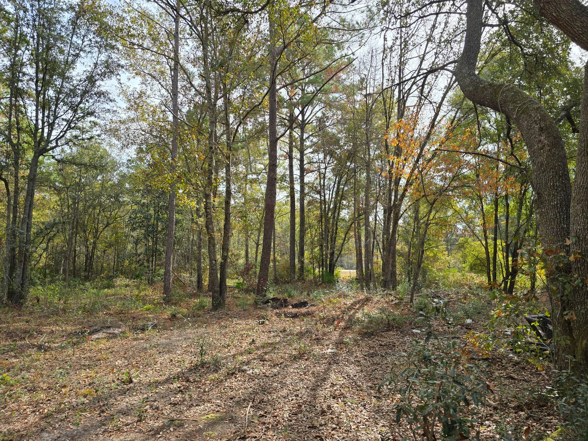 Leaf Cleanup for Giles Land Management, LLC in Hahira, GA