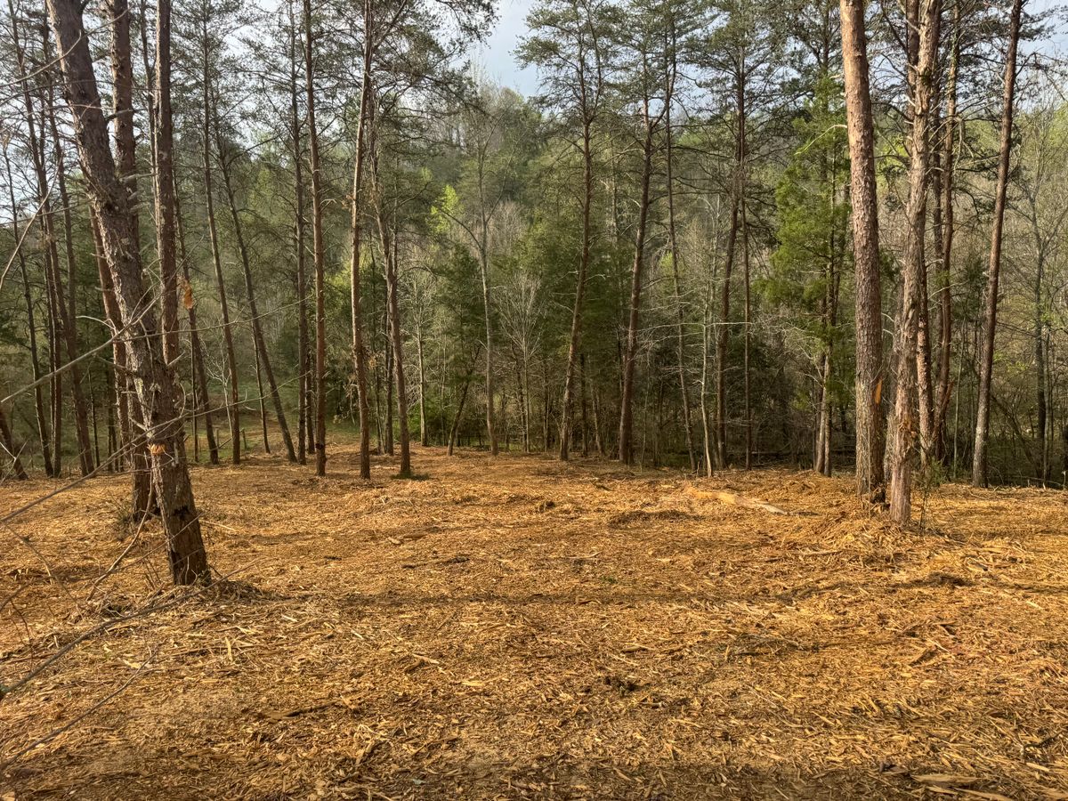 Land Clearing for Miller Farms Hay & Land Management in Knoxville, TN