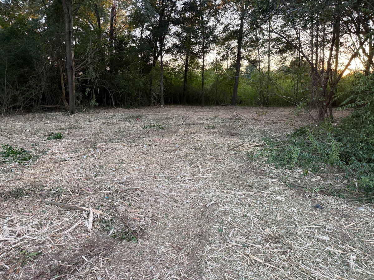 Tree Removal for T N L - Tree and Land Service in Reynolds, GA