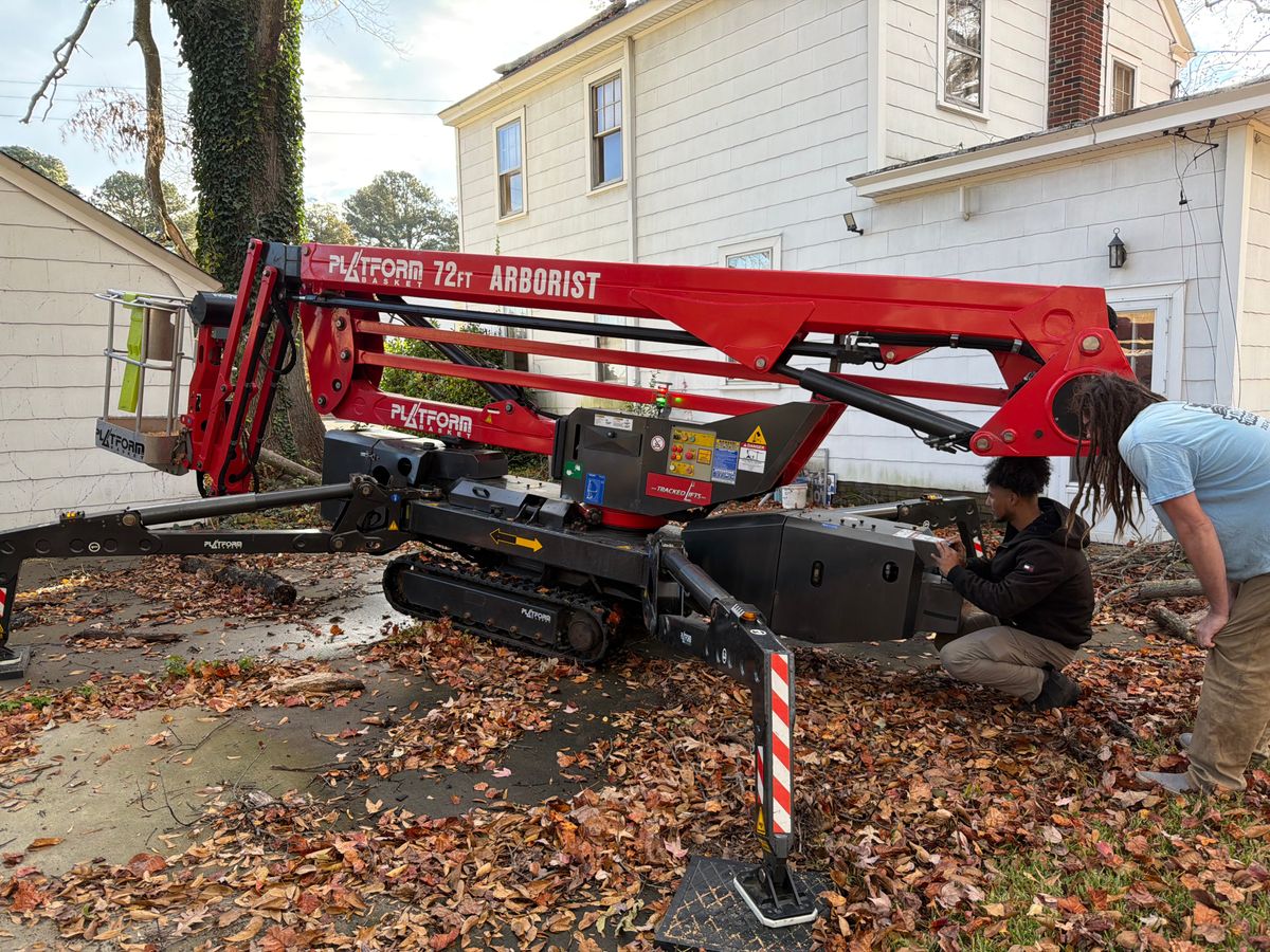 Tree Removal for Tidewater Tree Service in Chesapeake, VA