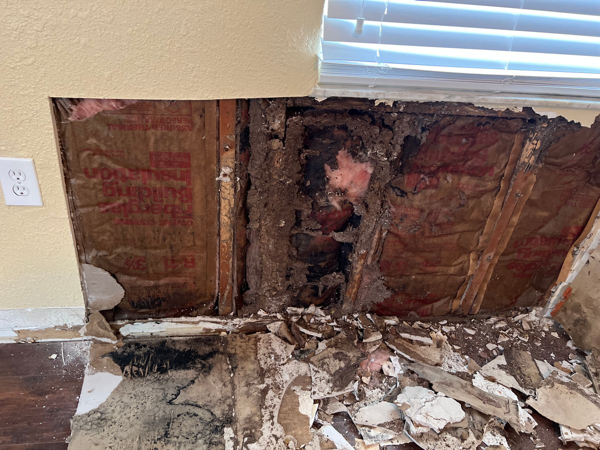 Mold Remediation for N&D Restoration Services: When Disaster Strikes, We Come In in Cape Coral,  FL