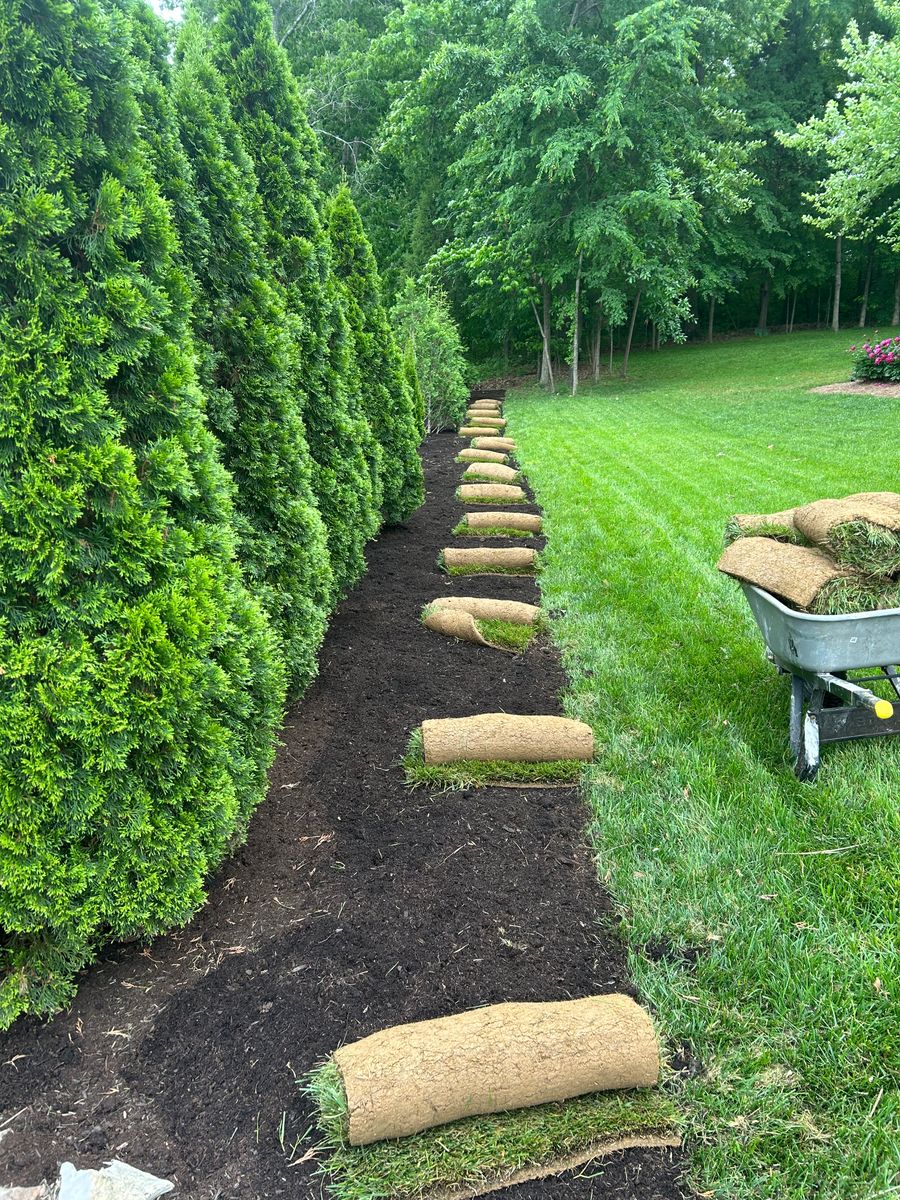 Landscaping for Optimum Tree Service And Landscaping in Bowling Green, KY
