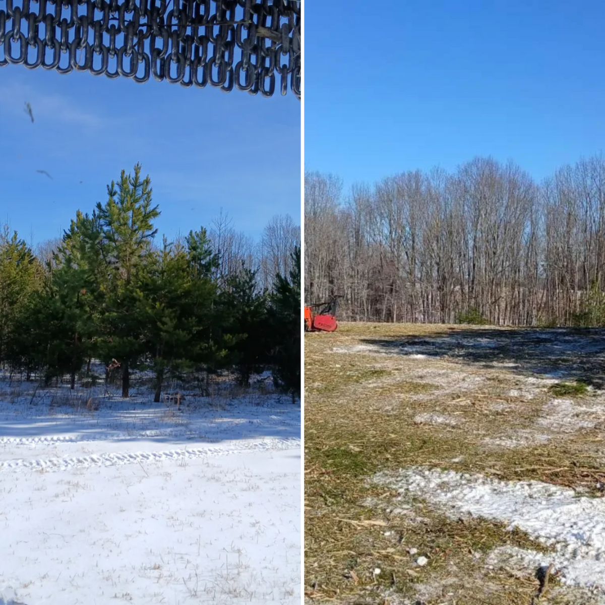 Forestry Mulching for Whiskey Ridge Mulching & Land Services in South Boston, VA