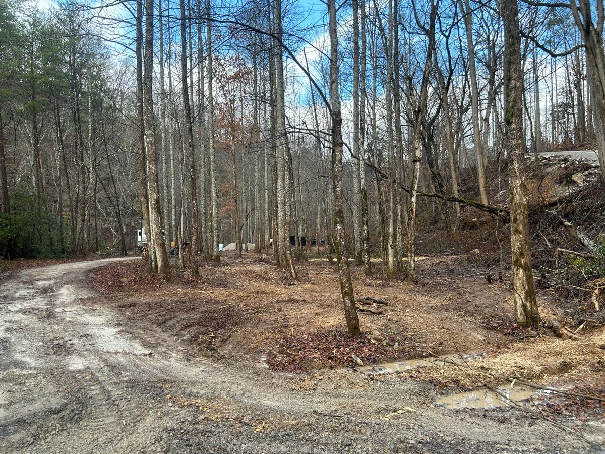 Land Clearing for Z's Land Management & Forestry Mulching in Smithville, TN