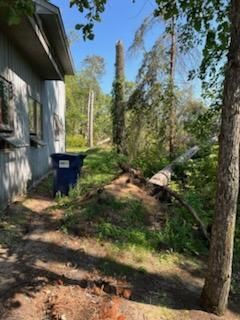 Landscaping for Dan's Tree Service LLC in Bemidji, MN