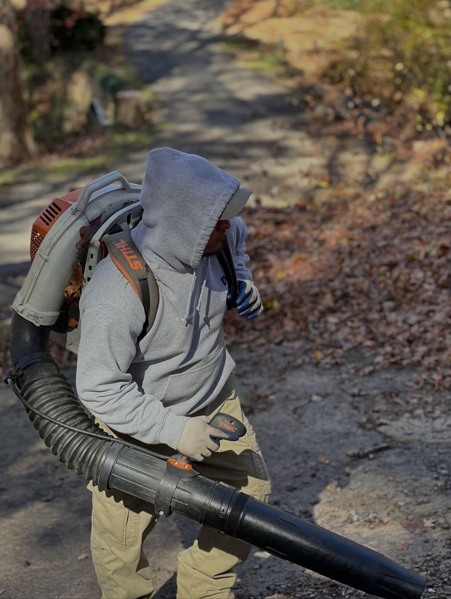 Tree services, Hedge Trimming, and Flower Services for Massey Landscaping in Gastonia, NC