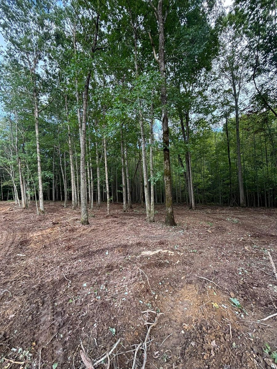 Forestry Mulching for TD Dirtworks in Tracy City, TN