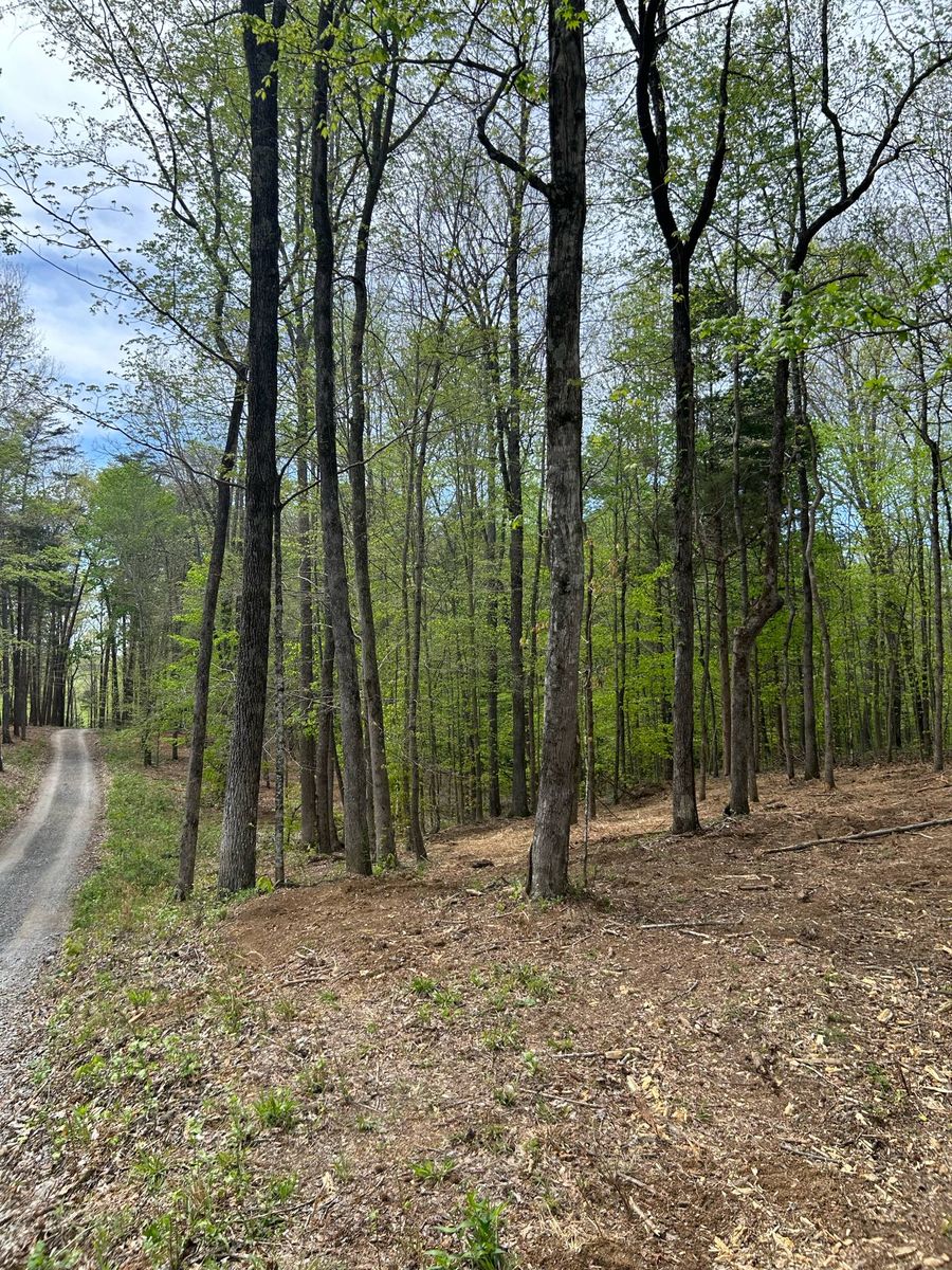 Land Clearing for Z's Land Management & Forestry Mulching in Smithville, TN