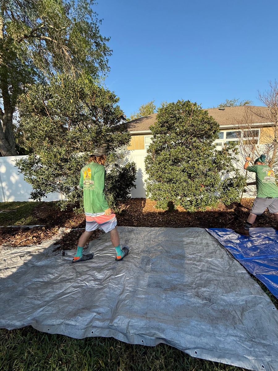 Landscape Projects for Aside from the Rest in Port Orange, FL