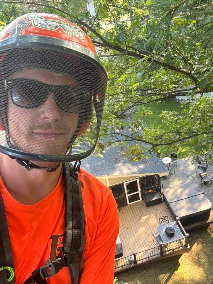 Tree Removal for T's Trees in Albany, NY