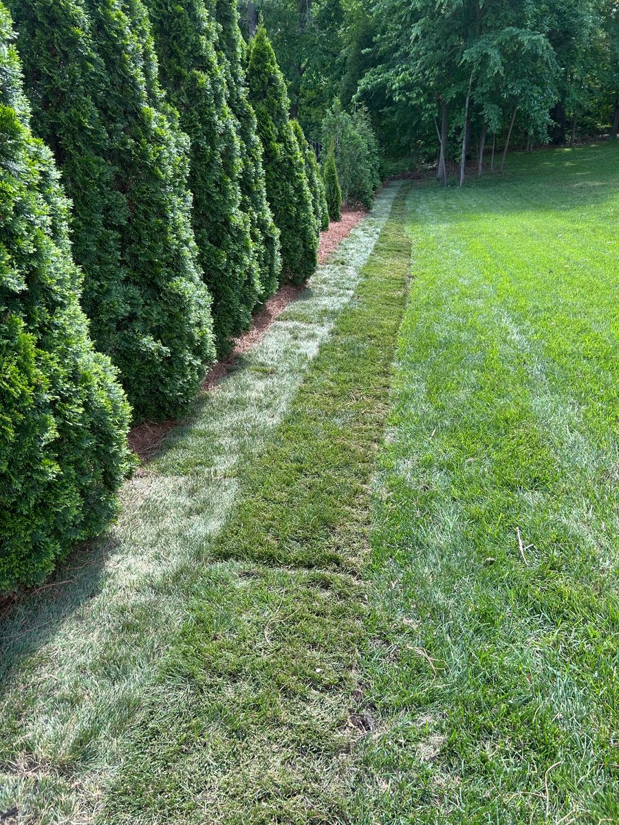Mulch Installation for Optimum Tree Service And Landscaping in Bowling Green, KY