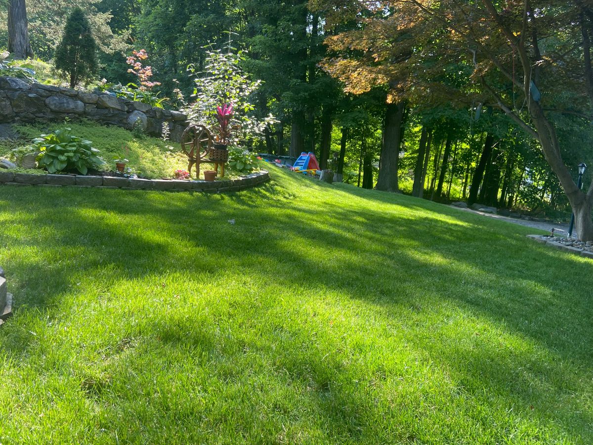 Fall Clean Up for Zaldivar’s Lawn Care INC  in Peekskill, NY