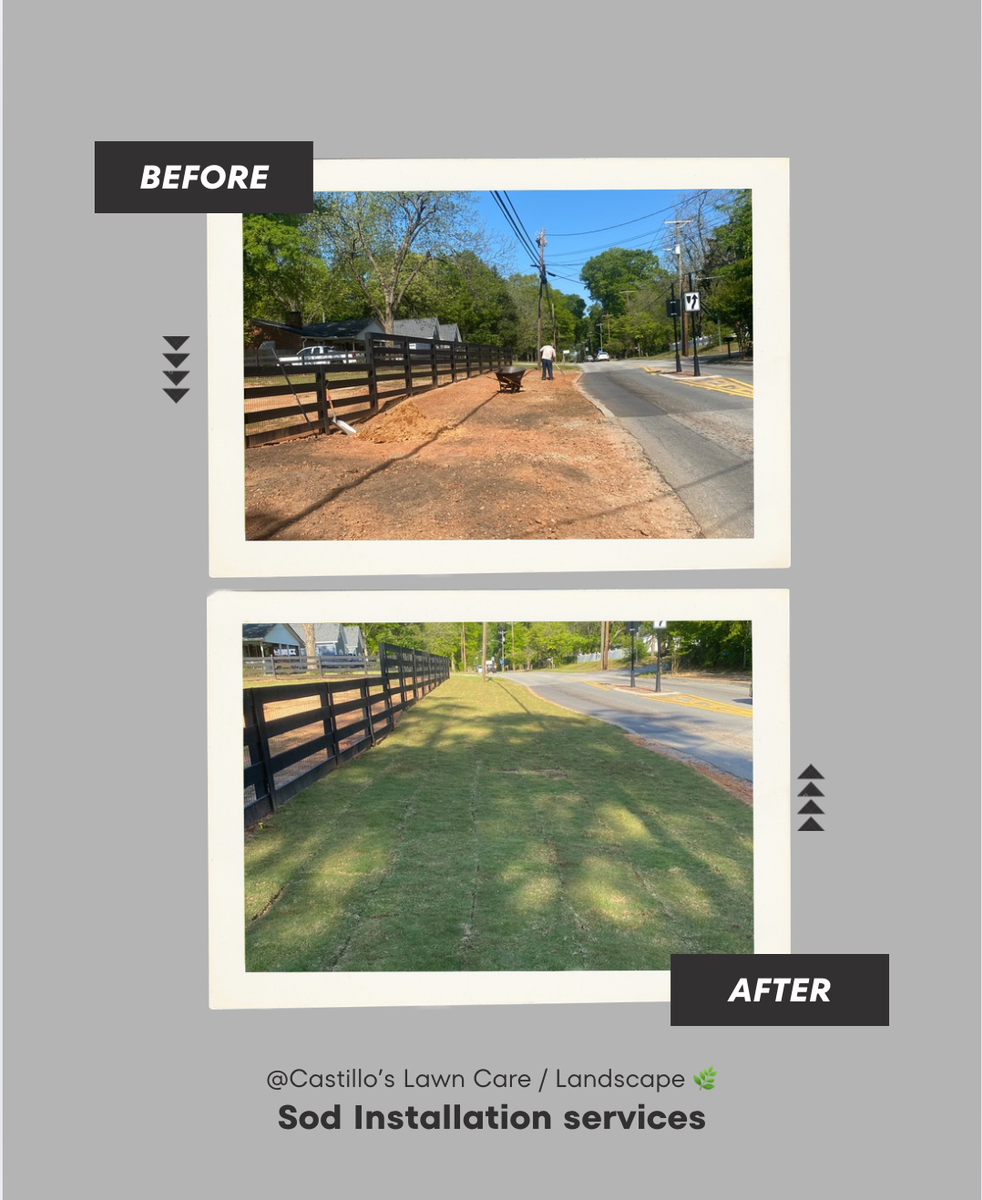 Landscaping for Castillo’s Lawn Care in Monroe, GA