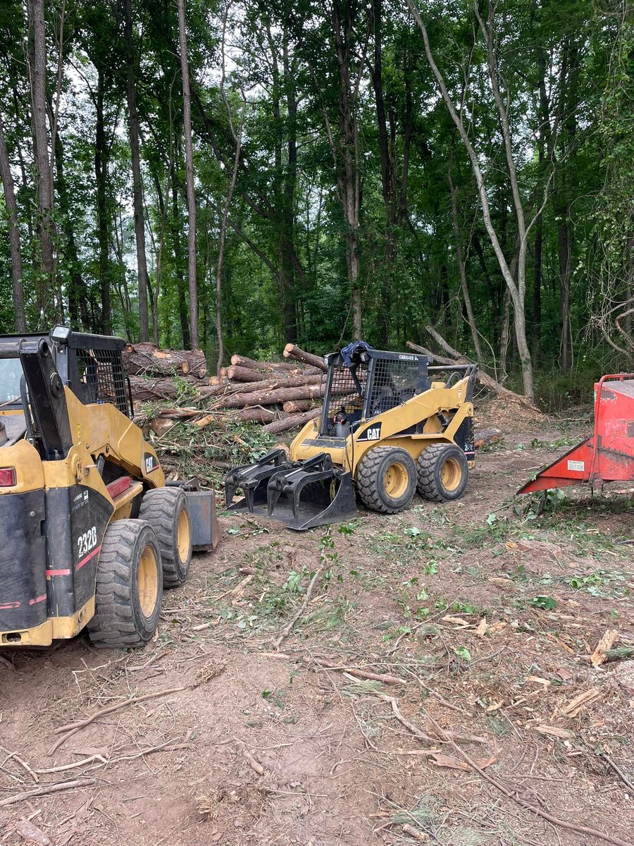 Tree Removal for Ace Tree Service  in Fuquay-Varina, NC