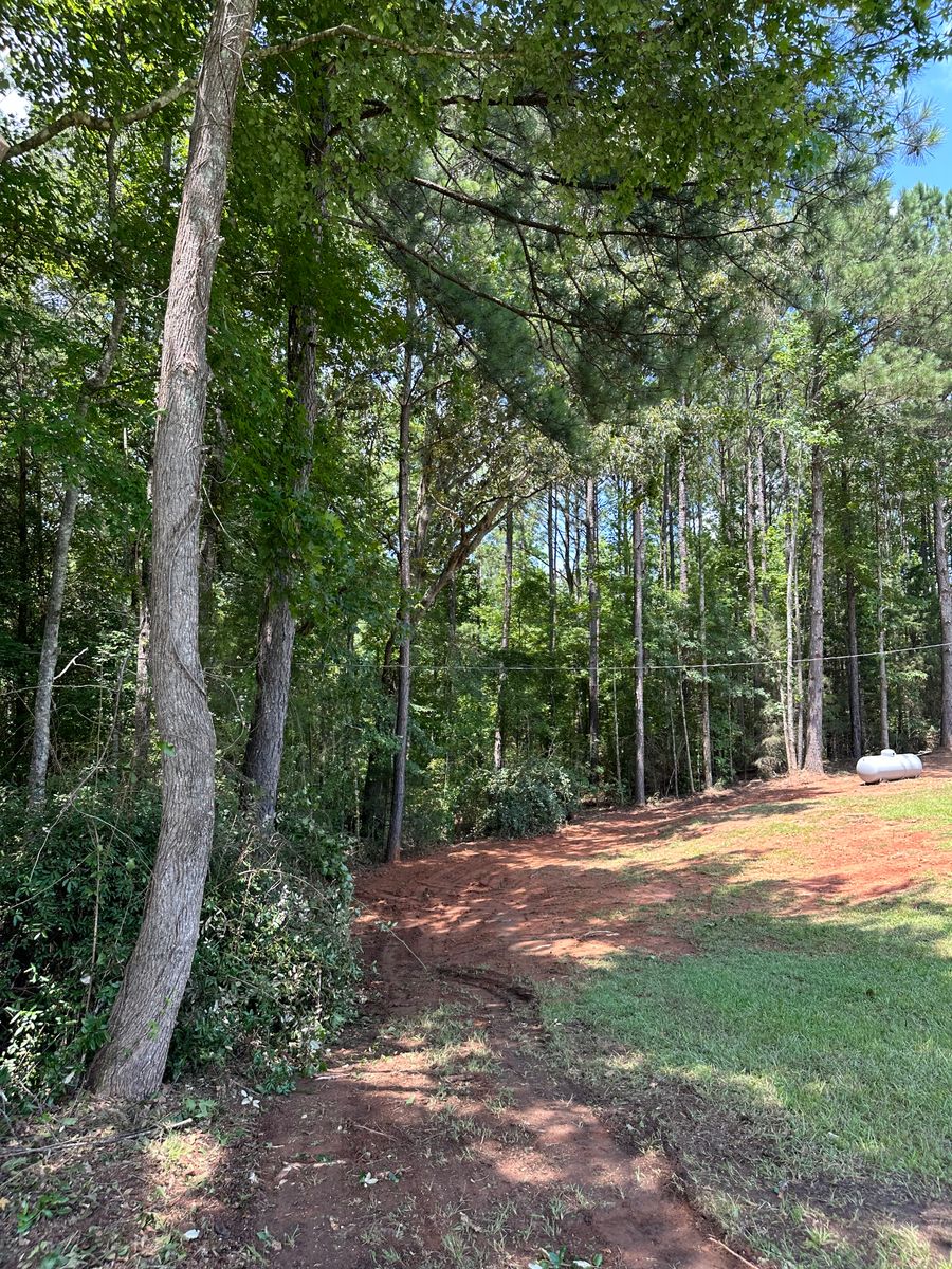 Tree Trimming for ArborMax in Thomaston, GA