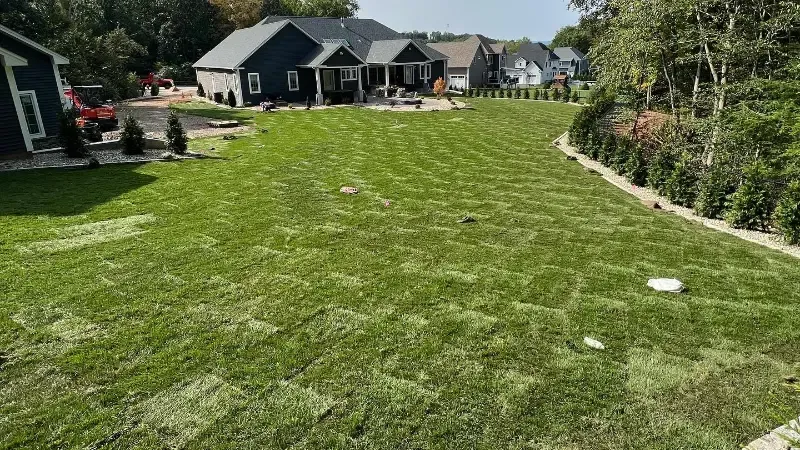 Sod for Pure Pavers Landscaping in Burlington, ON
