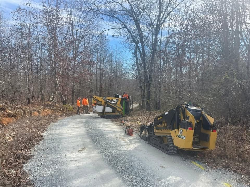 Tree Removal for Ross Family Tree Service LLC  in Hohenwald, TN