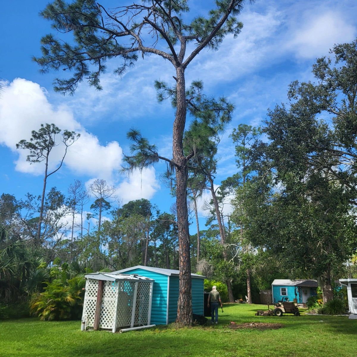 Land Clearing for Nick of Time Tree Service in North Port, FL