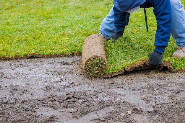 Sodding for Valadez Landscaping LLC in Fort Worth, TX