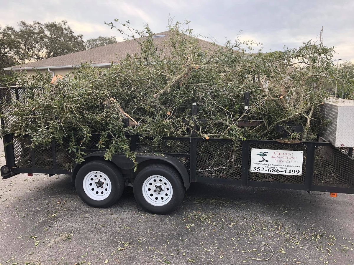 Debris Haulaway for Genesis Landscape Services in Spring Hill, FL
