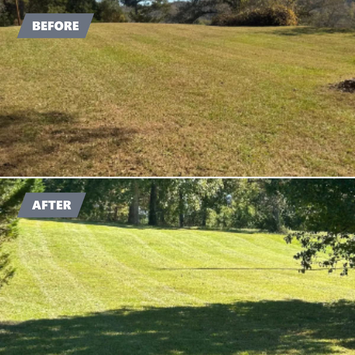 Lawn Maintenance for Sunrise Lawn Service LLC in Rome, GA