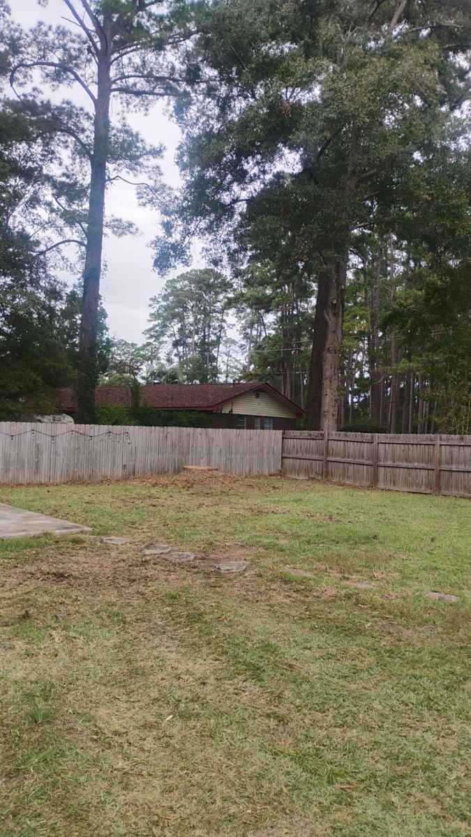 Tree Removal for Hawkins Tree Service & Land Management in Richmond Hill, GA