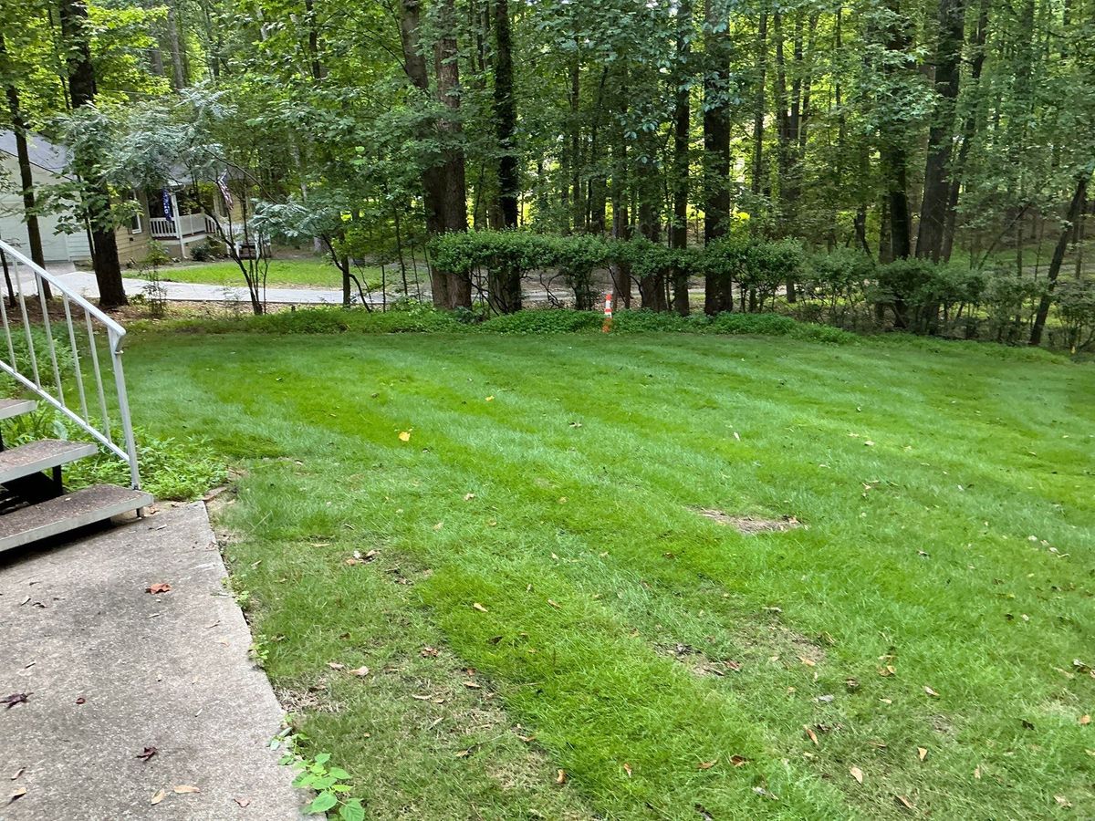 🌱 NB Sod Installation for New Beginning Landscape & Remodel LLC in Atlanta, GA