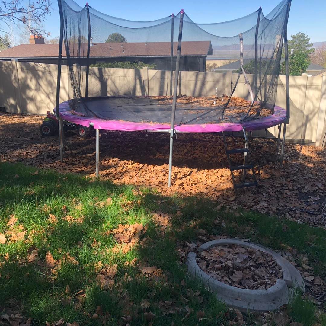 Fall Clean Up for Duncan Yard Services in Bountiful, UT