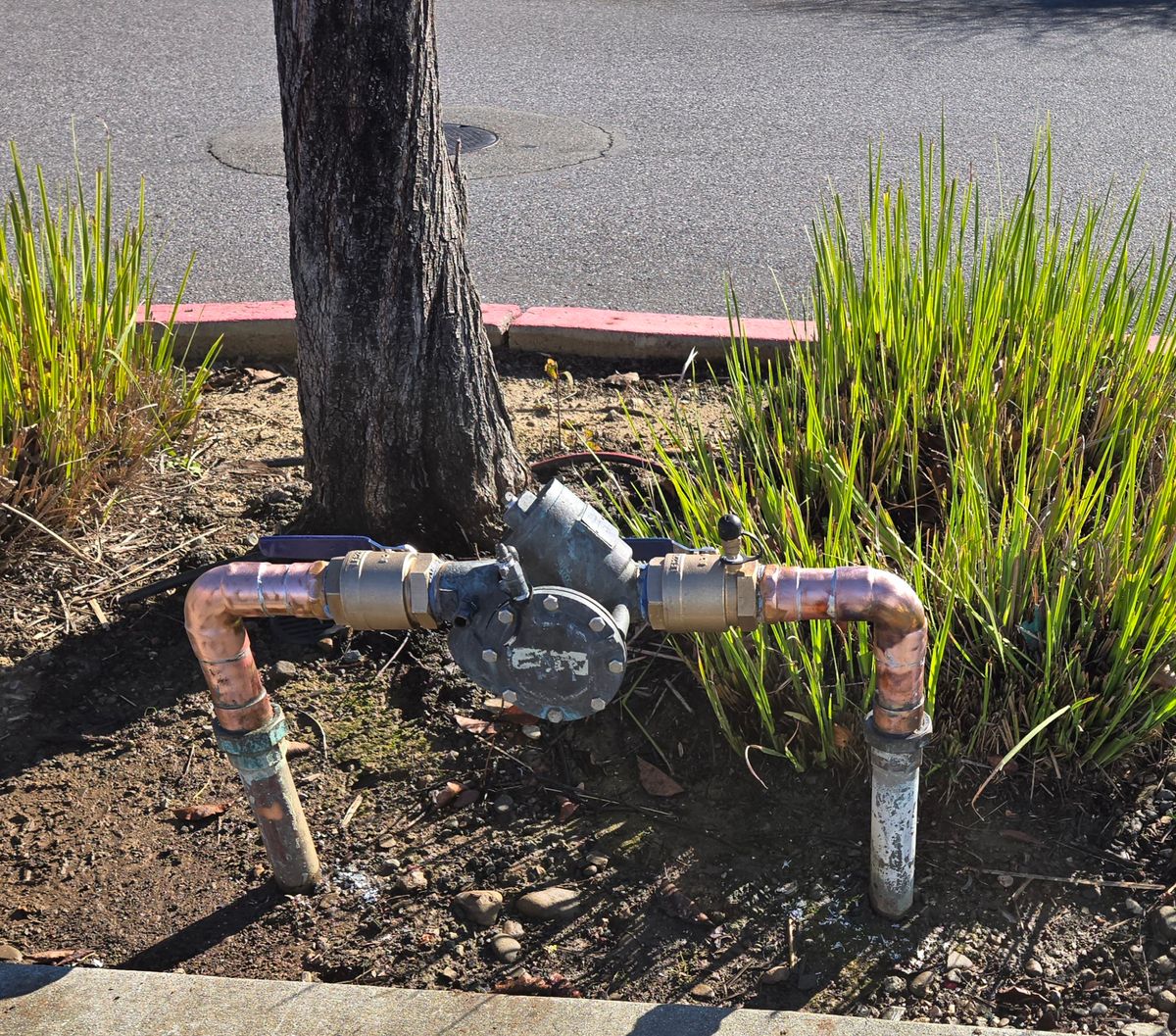 Commercial Plumbing for Reliant Plumbing And Drain in Morgan Hill, CA