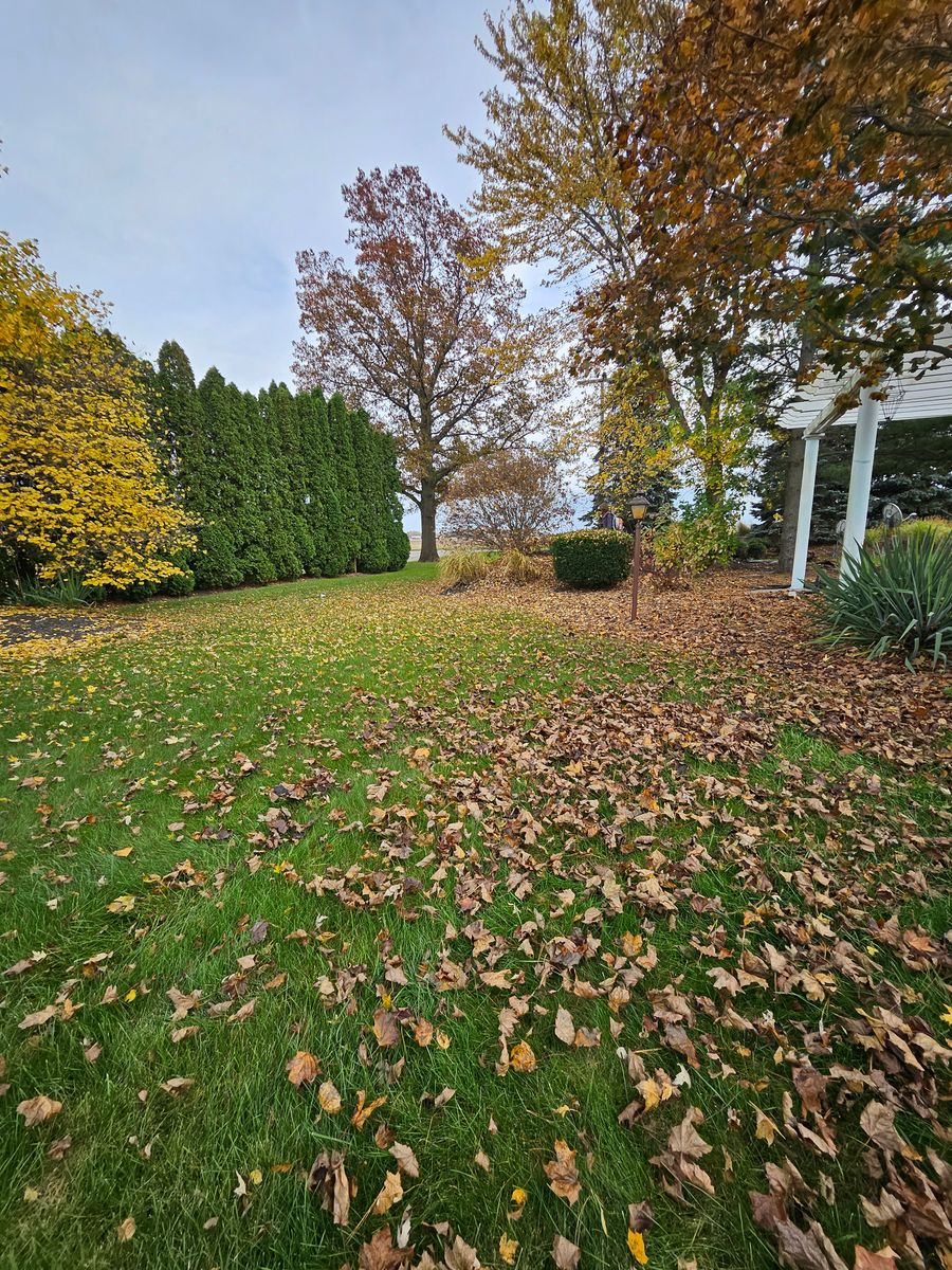 Fall Clean Up for Benny's Lawn Care in Elkhart, IN