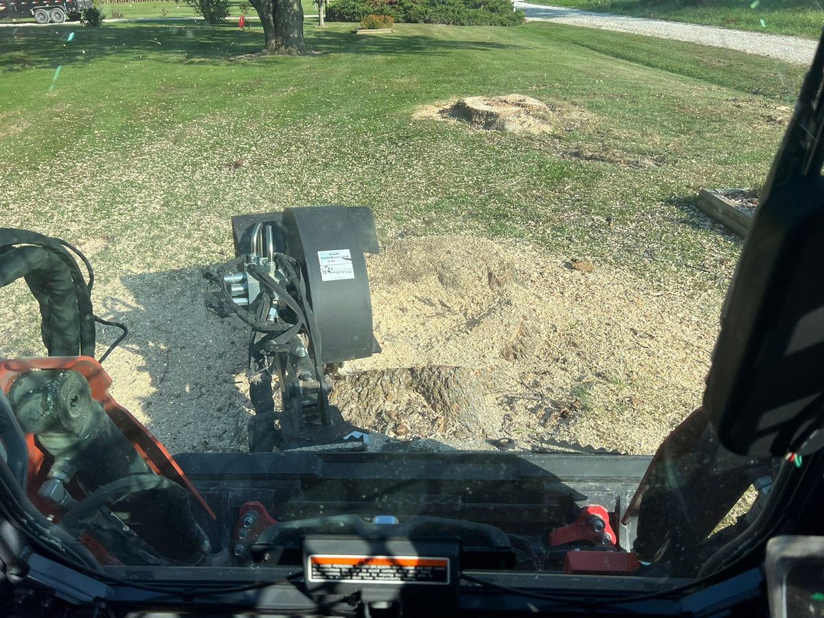 Stump Grinding for Baker Professional Services LLC in Shelbina, MO